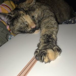 Meet your Posher, Stacy